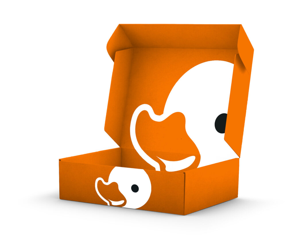 Custom Packaging Duck Press Themed Box