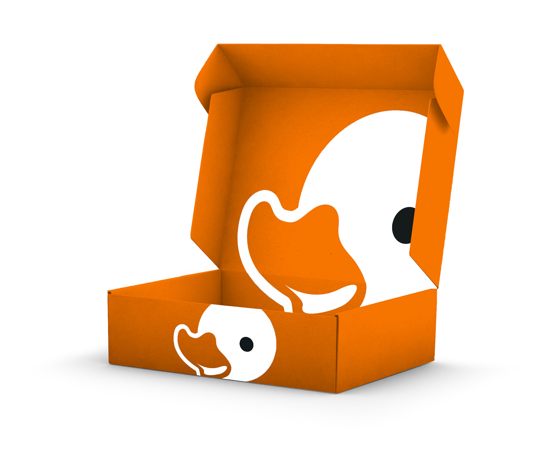 Custom Packaging Duck Press Themed Box